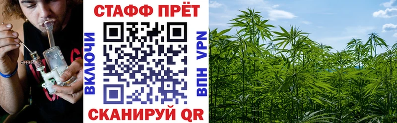 Купить наркотик аптеки Балашиха Канабис МЕГА tor КОКАИН ГАШ Псилоцибиновые грибы Меф СК