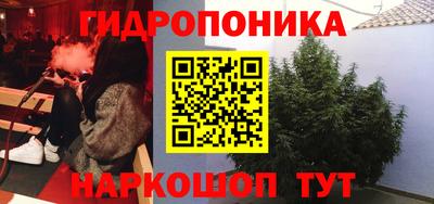 СК Апшеронск