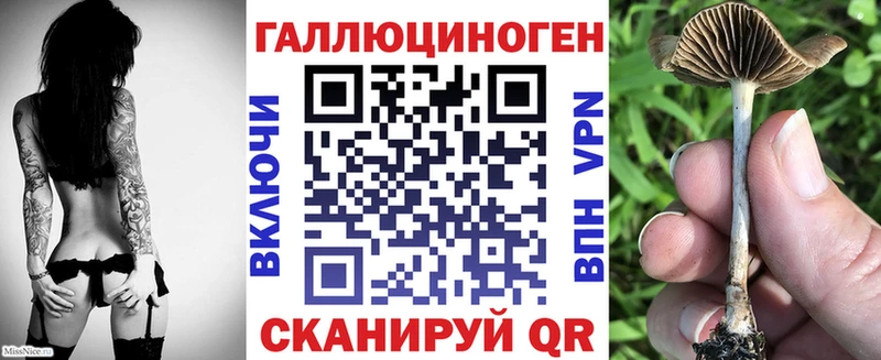 Галлюциногенные грибы мухоморы  дарк нет Telegram  Балашиха 