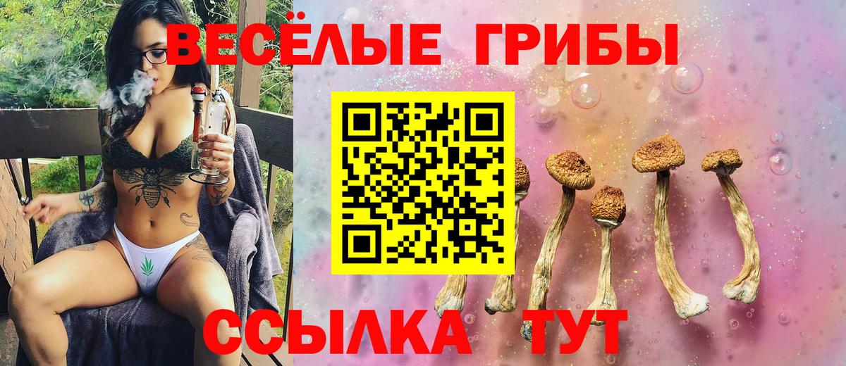 Галлюциногенные грибы ЛСД Балашиха
