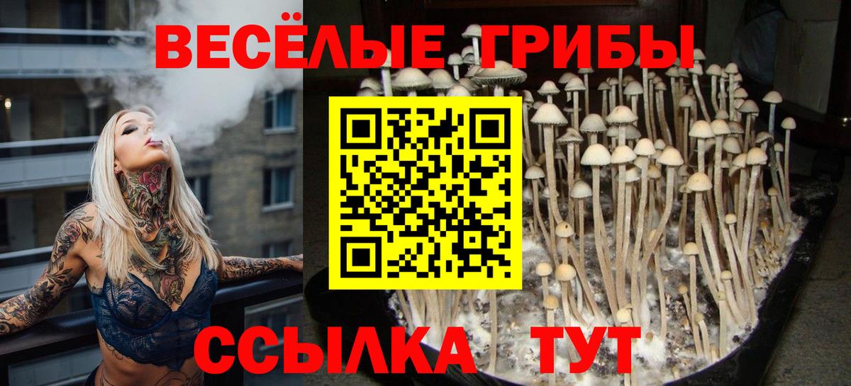 Галлюциногенные грибы GOLDEN TEACHER  Псилоцибиновые грибы мухоморы  Вход с VPN  Балашиха 